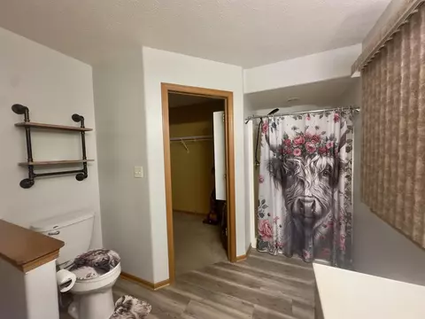 Bath - 203 S Westview Dr, Lanark, IL 61046 photo 1 of 6