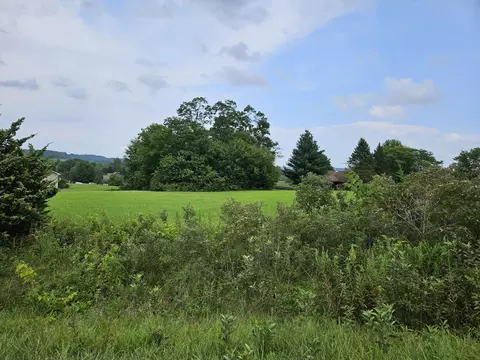 3 Butternut Ln, Galena, IL 61036