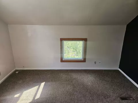 419 N Lee St, Davis, IL 61019 photo 20
