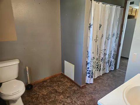 419 N Lee St, Davis, IL 61019 photo 15