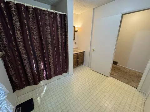 Bath - 74 Snow St, Chadwick, IL 61014 photo 2 of 3