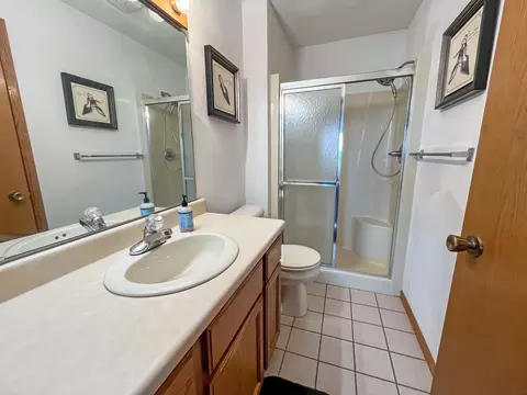 23-222 Brighton Ct, Lanark, IL 61046 photo 23