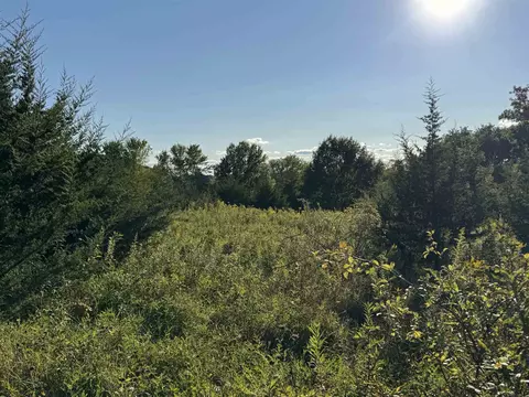 5 Woodside Dr, Galena, IL 61036