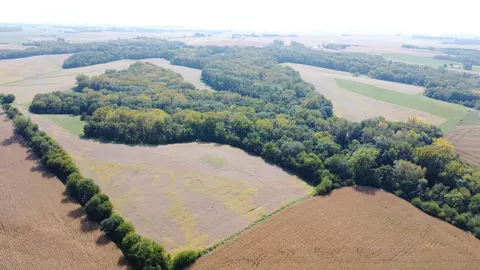 tbd Golding Rd, Thomson, IL 61285 photo 1