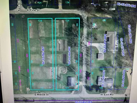 404 E Willow St, Forreston, IL 61030 photo 2