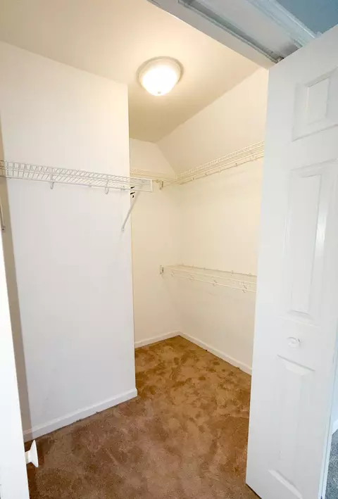 101 E Chicago Ave, Davis Junction, IL 61020 photo 41