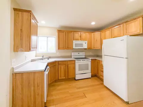 101 E Chicago Ave, Davis Junction, IL 61020 photo 14