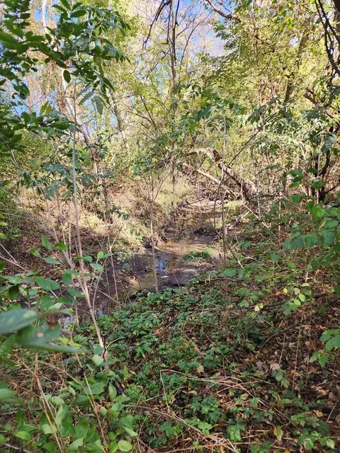 Other - 205 Il Rte 64, Lanark, IL 61046 photo 11 of 12