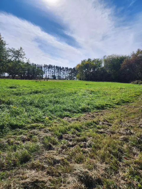 Other - 205 Il Rte 64, Lanark, IL 61046 photo 9 of 12