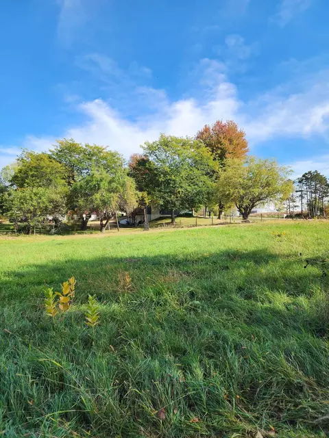 Exterior - 205 Il Rte 64, Lanark, IL 61046 photo 14 of 28