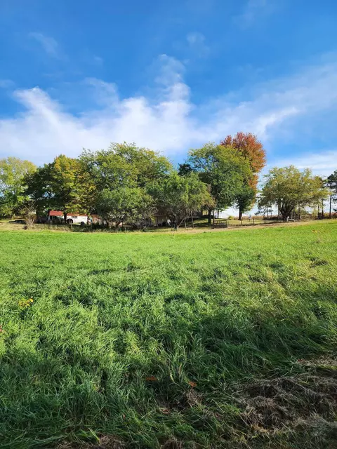 Exterior - 205 Il Rte 64, Lanark, IL 61046 photo 16 of 28