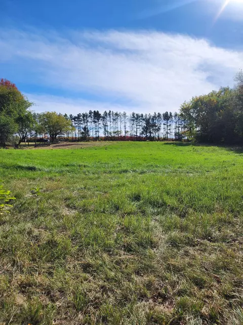 Other - 205 Il Rte 64, Lanark, IL 61046 photo 10 of 12