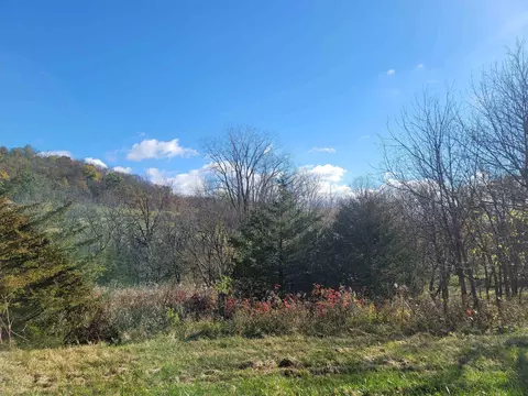 62 Heatherdowns Ln, Galena, IL 61036