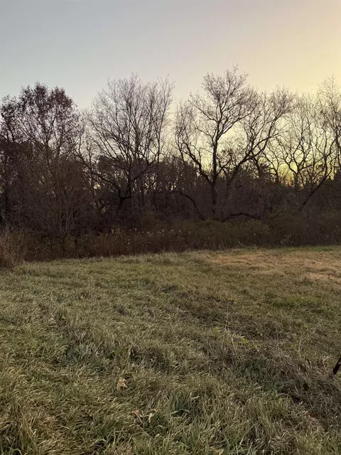 4 A29 Colt Ct, Apple River, IL 61001