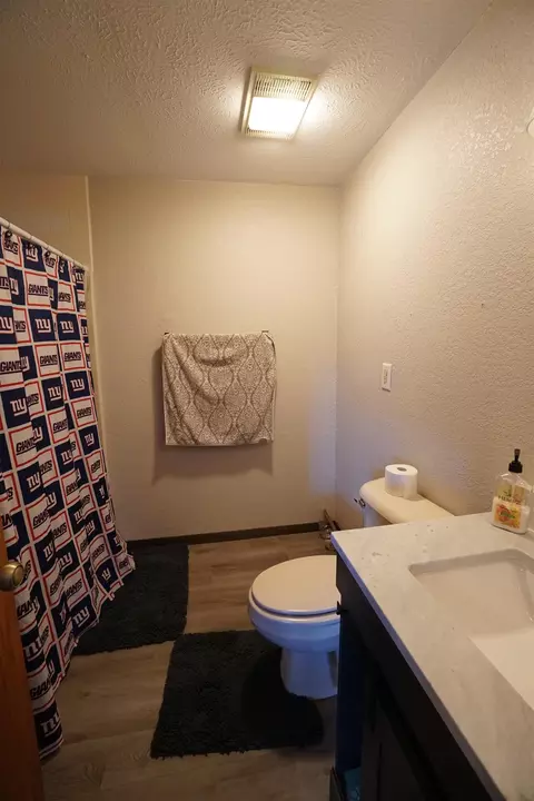 Bath - 502 Corkhill Ct, Davis, IL 61019 photo 4 of 5