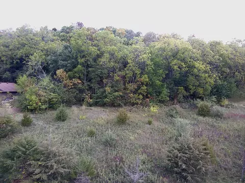 49 Sugarcreek Trl, Galena, IL 61036
