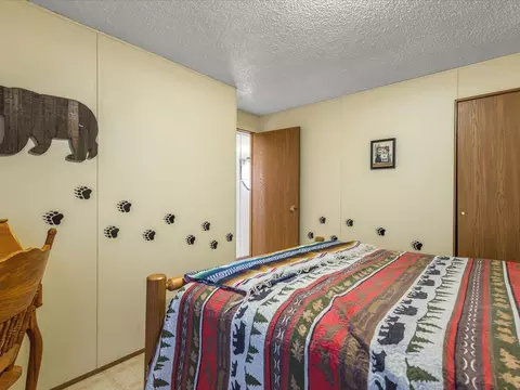 319 N Turner, Davis, IL 61019 photo 13