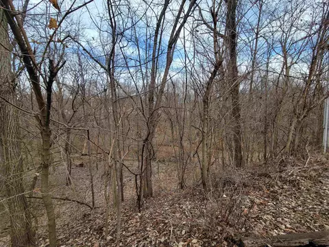 408 E 4th St, Spring Valley, IL 61362 photo 28