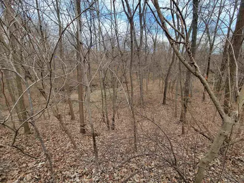 408 E 4th St, Spring Valley, IL 61362 photo 26