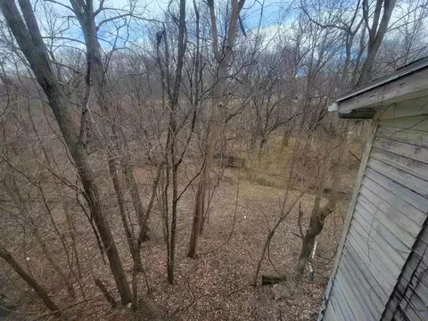 408 E 4th St, Spring Valley, IL 61362 photo 21