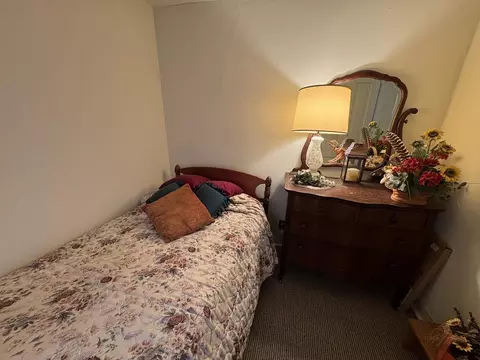 328 E Carroll St, Lanark, IL 61046 photo 29
