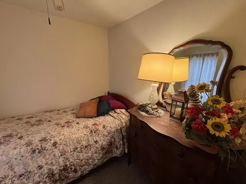 328 E Carroll St, Lanark, IL 61046 photo 28