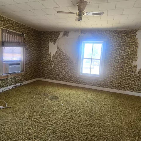 201 W 2nd St, Leaf River, IL 61047 photo 8