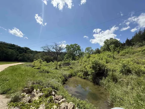 8244 Creek Crossing Ct, Galena, IL 61036