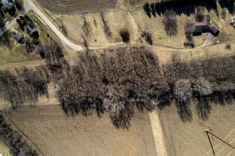 0 W Maple St, Holcomb, IL 61043 photo 6