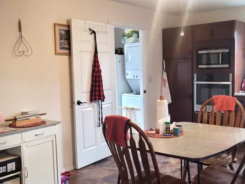 406 S Garfield St, Leaf River, IL 61047 photo 23