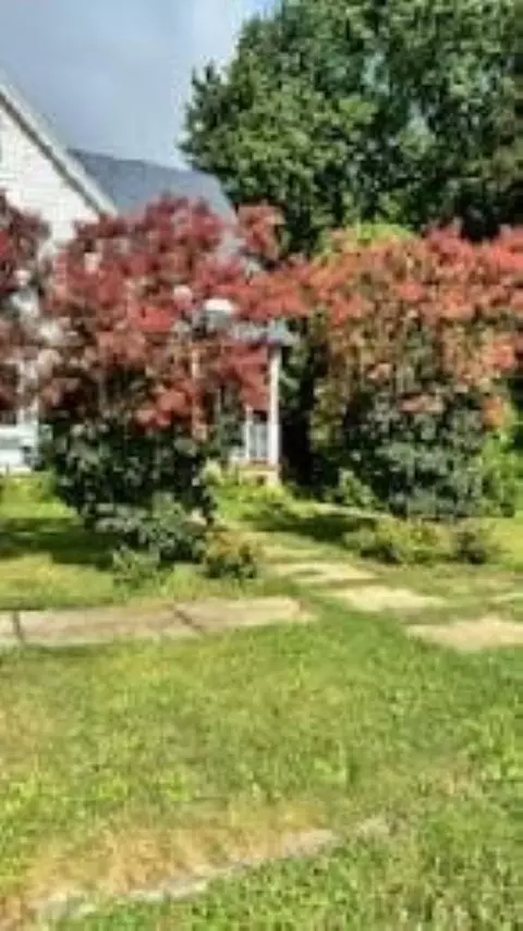 406 S Garfield St, Leaf River, IL 61047 photo 46