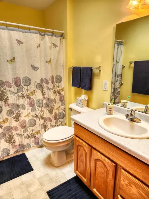 Bath - 30-45 Brookside Dr, Lanark, IL 61046 photo 2 of 3
