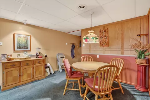 1210 Lake Summerset Rd, Davis, IL 61019 photo 41