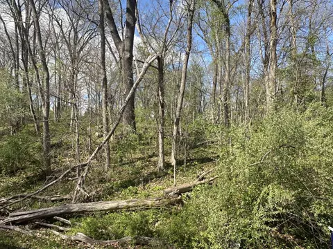 0 Lot 168 Lake Thunderbird Hls, Putnam, IL 61560