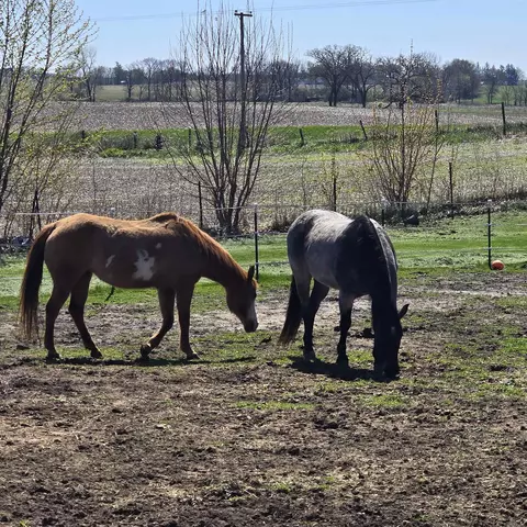 Other - 17870 Clover Rd, Morrison, IL 61270 photo 14 of 14