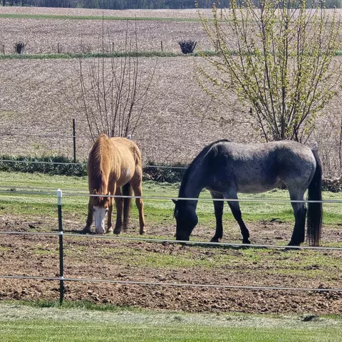 Other - 17870 Clover Rd, Morrison, IL 61270 photo 7 of 14