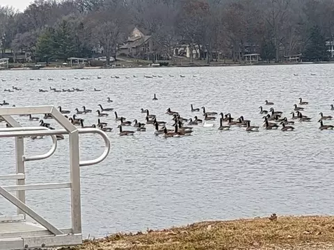 1396 Pier Dr, Lake Summerset, IL 61019 photo 59