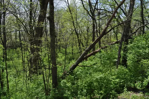 Other - 2648 Shepard Dr, Freeport, IL 61032 photo 2 of 11