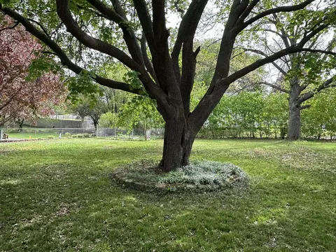 Exterior - 253 Park Crest Dr, Freeport, IL 61032 photo 11 of 11