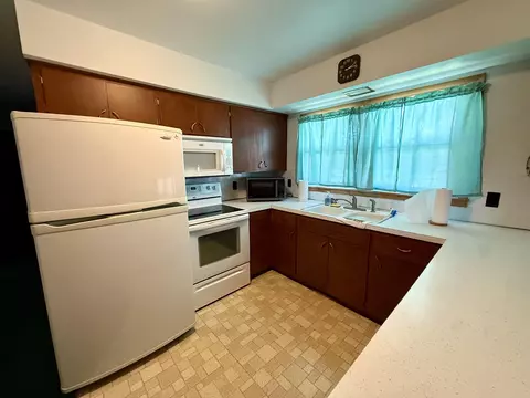 Other - 201 S Jackson, Hanover, IL 61041 photo 1 of 14
