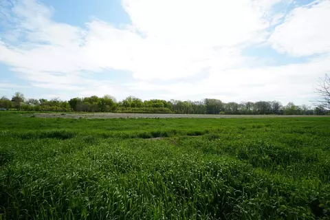 Other - 201 S Jackson, Hanover, IL 61041 photo 11 of 14