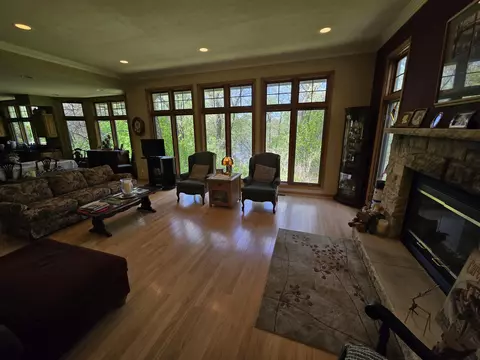 Living - 3 A25 General Grant Dr, Apple River, IL 61001 photo 4 of 6
