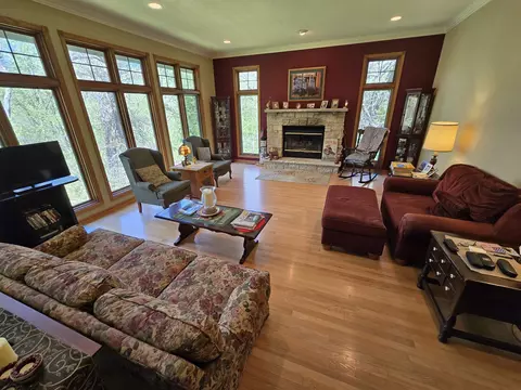 Living - 3 A25 General Grant Dr, Apple River, IL 61001 photo 3 of 6