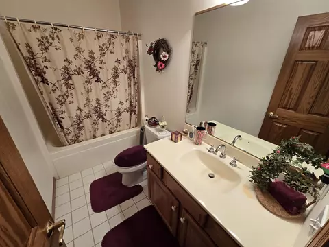 Bath - 3 A25 General Grant Dr, Apple River, IL 61001 photo 3 of 3