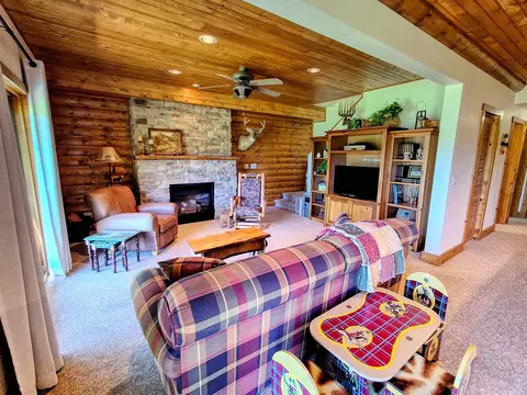 27-55 Ridgeview, Lanark, IL 61046 photo 29