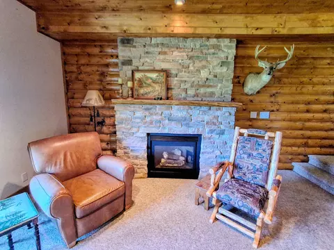 27-55 Ridgeview, Lanark, IL 61046 photo 30