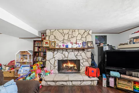 Living - 12521 E High Rd, Davis Junction, IL 61020 photo 2 of 2