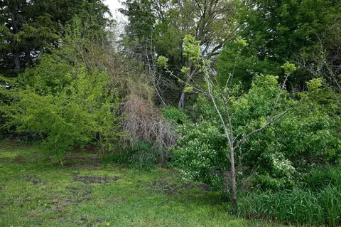 0 S Sycamore St, Cedar Point, IL 61316 photo 6