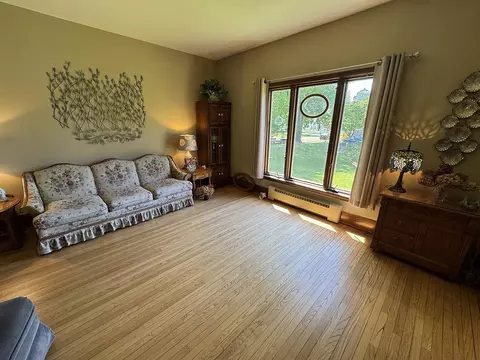 Living - 314 Plummer Ave, Chadwick, IL 61014 photo 4 of 7