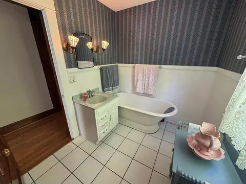 Bath - 314 Plummer Ave, Chadwick, IL 61014 photo 4 of 5